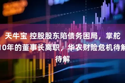 天牛宝 控股股东陷债务困局，掌舵10年的董事长离职，华农财险危机待解