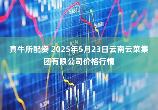 真牛所配资 2025年5月23日云南云菜集团有限公司价格行情