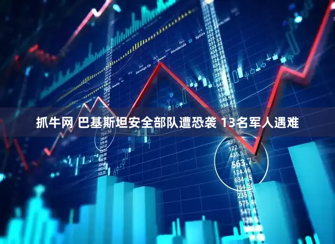 抓牛网 巴基斯坦安全部队遭恐袭 13名军人遇难
