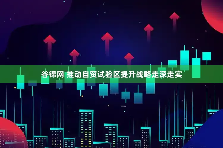 谷锦网 推动自贸试验区提升战略走深走实